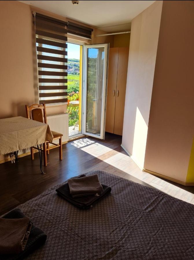 Vila Belilo Σρέμσκι Καρλόβτσι Εξωτερικό φωτογραφία