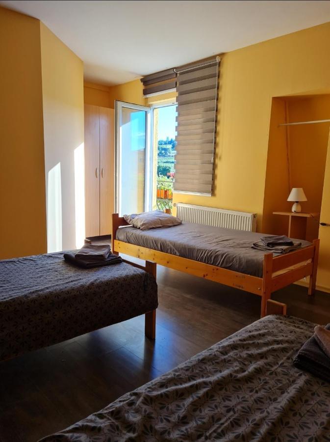 Vila Belilo Σρέμσκι Καρλόβτσι Εξωτερικό φωτογραφία